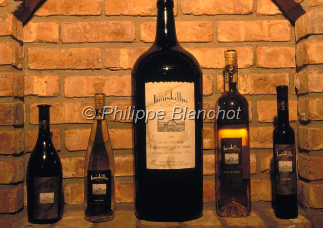 canada ontario  34.JPG - Bouteilles de vinDomaine vinicoleInniskillinNiagara on the LakeOntarioCanada